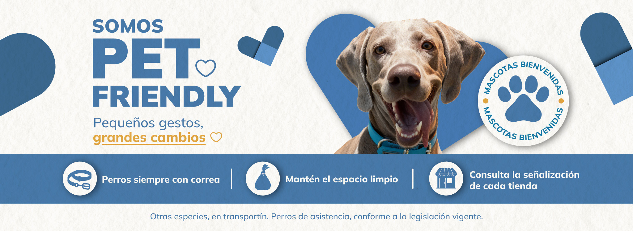 pet-friendly-parque-ferrol-v2-cabecera
